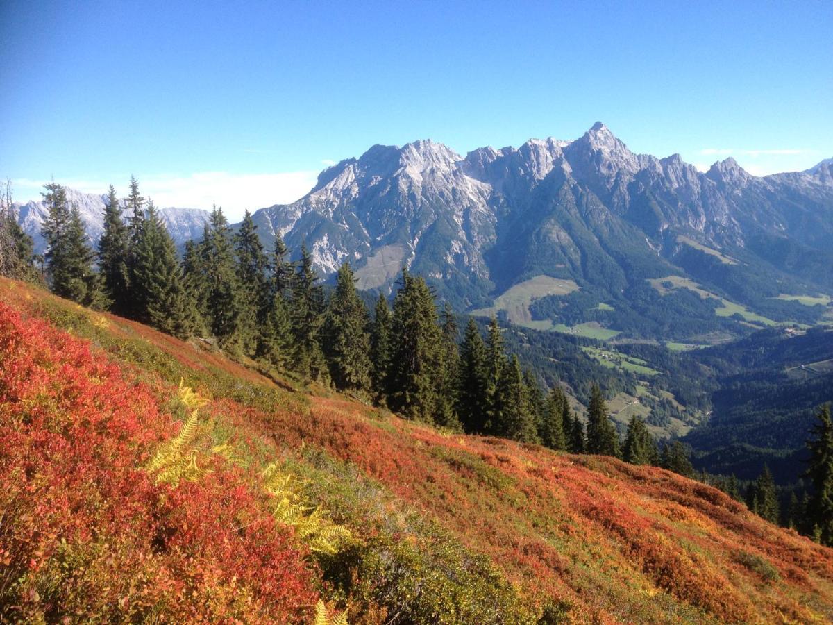 Pension Aberger Saalbach-Hinterglemm Kültér fotó