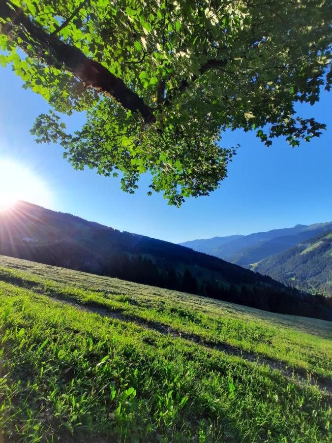 Pension Aberger Saalbach-Hinterglemm Kültér fotó